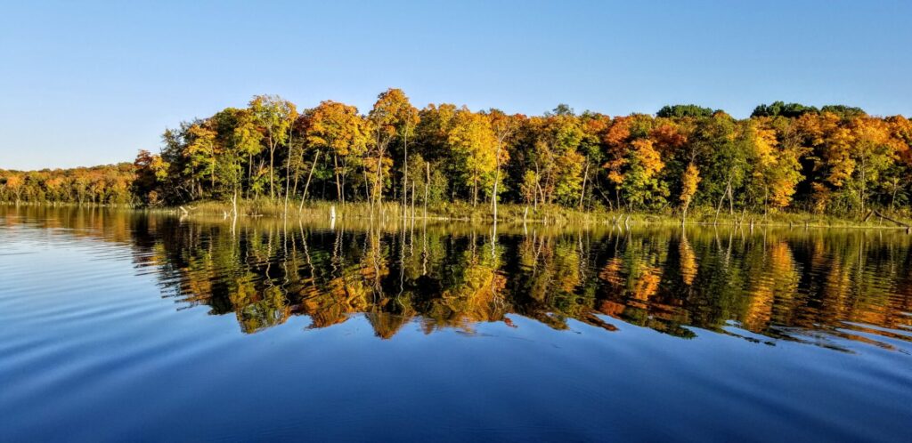 Lake & Trees landscape