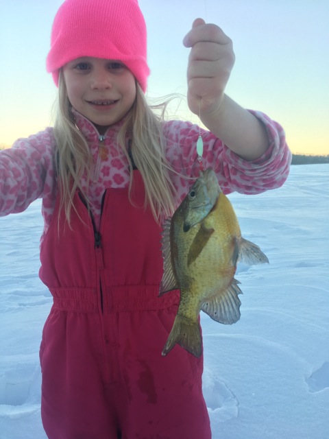Ice Fishing For Panfish With Kids: A Rewarding and Fun Treat