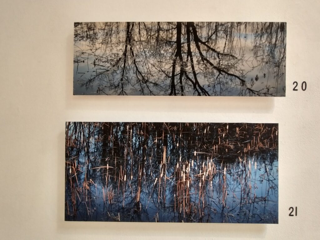 Leaf River Inscapes Jamie Robertson Photography 2 1