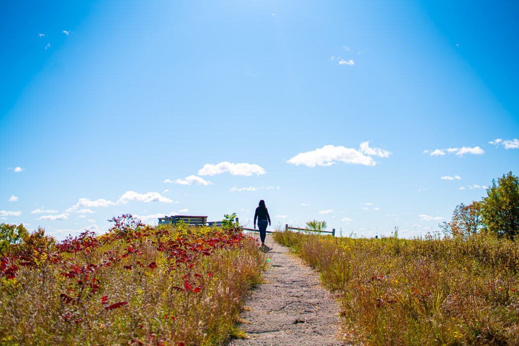 Parkers Prairie Otter Tail County Wander The Map 08