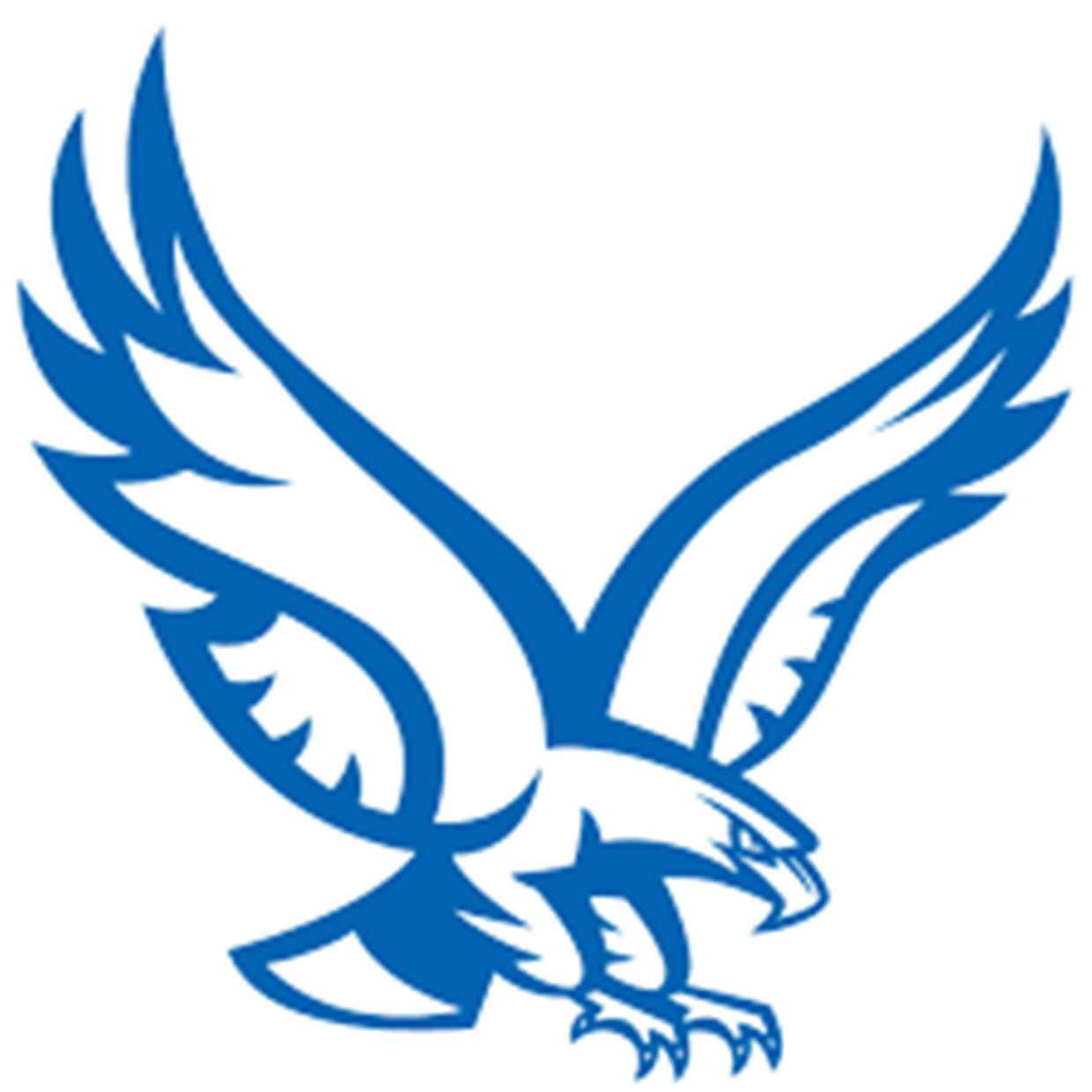 New York Mills MN Eagles Logo