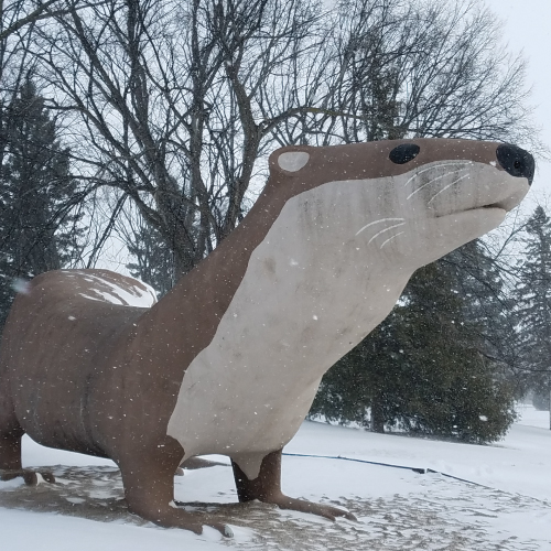 comminities fergus falls