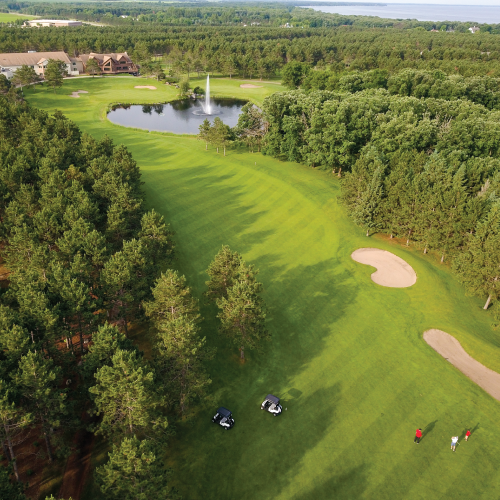 home golf
