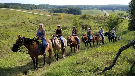 trail2